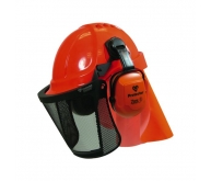 Casque forestier FH 600